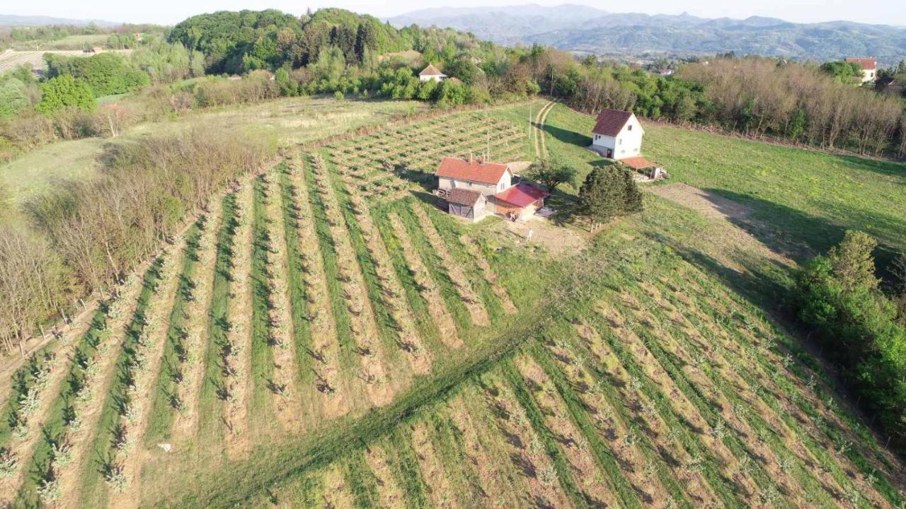 Vikend House Βίλα Ljig Εξωτερικό φωτογραφία