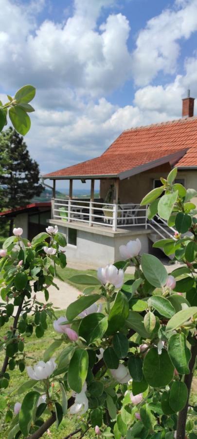 Vikend House Βίλα Ljig Εξωτερικό φωτογραφία